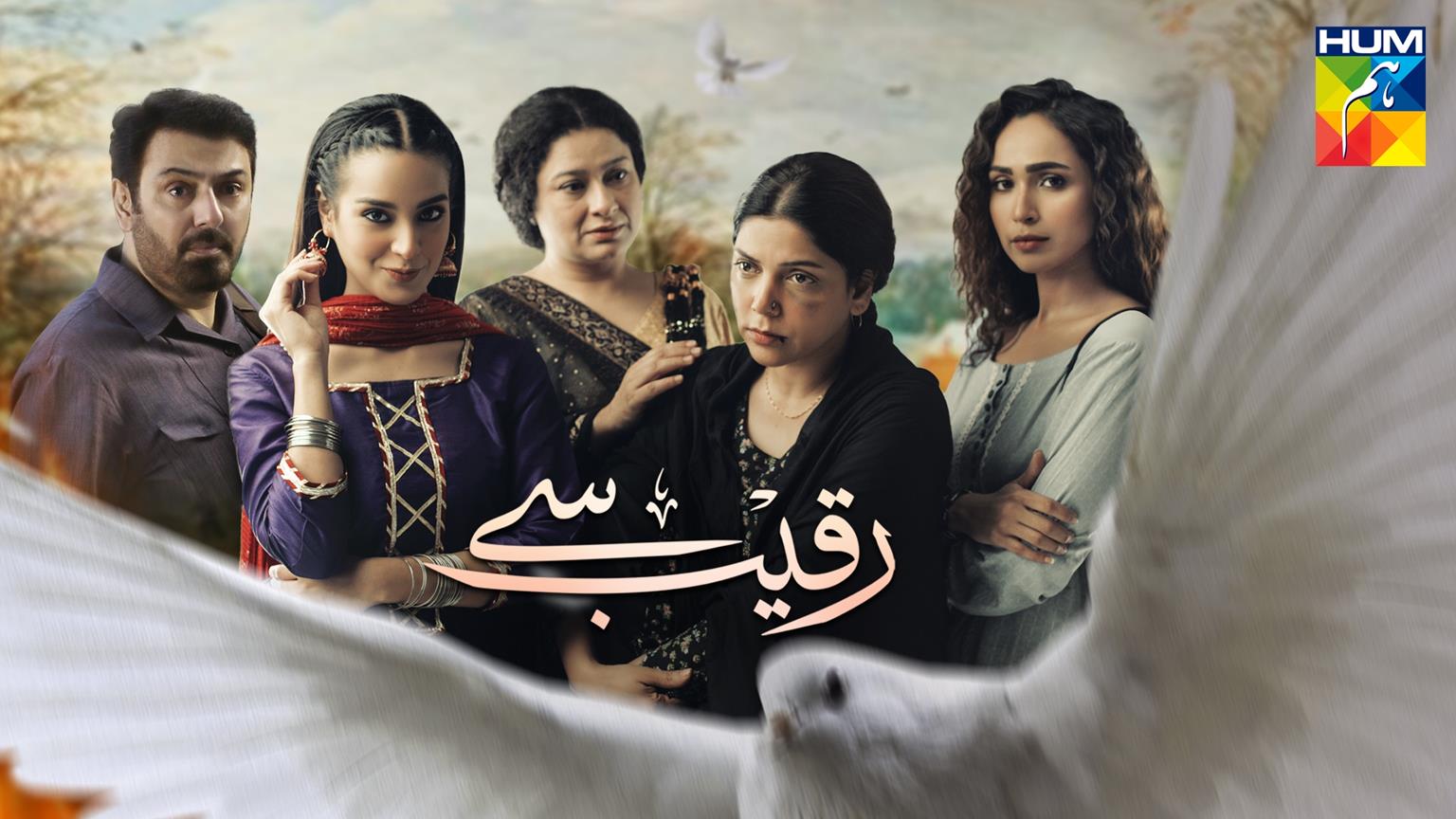 Raqeeb Se Episode 22: The Brilliance of This Show Is Emotionally Exhausting  - The Brown Identity
